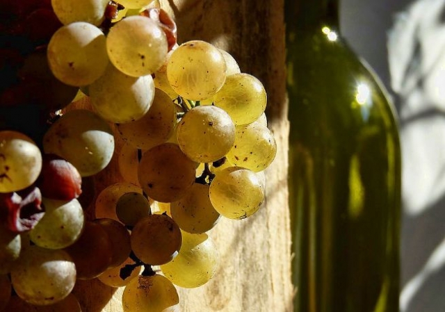 racimo de uvas verdes